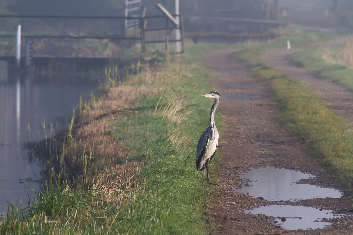 foto: [20171107PV7139-3]